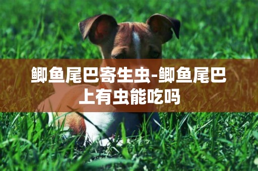 鯽魚尾巴寄生蟲-鯽魚尾巴上有蟲能吃嗎