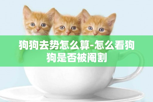 狗狗去勢怎么算-怎么看狗狗是否被閹割