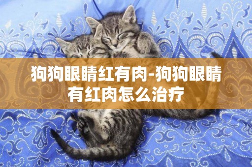 狗狗眼睛紅有肉-狗狗眼睛有紅肉怎么治療