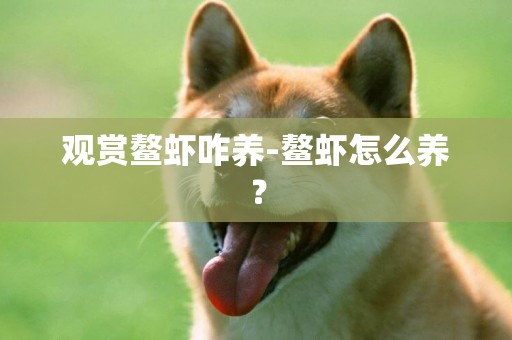 觀賞鰲蝦咋養-鰲蝦怎么養？