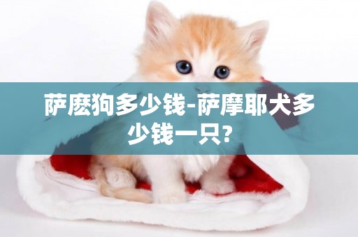 薩麼狗多少錢-薩摩耶犬多少錢一只?