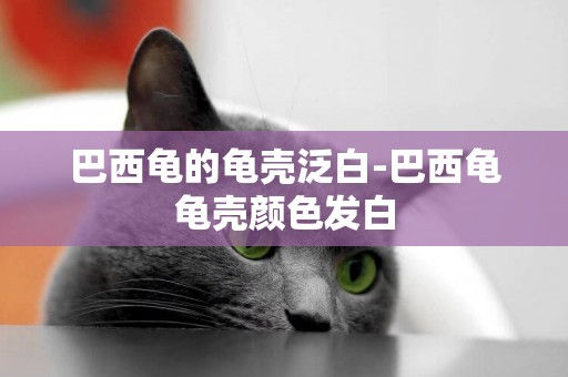 巴西龜的龜殼泛白-巴西龜龜殼顏色發白