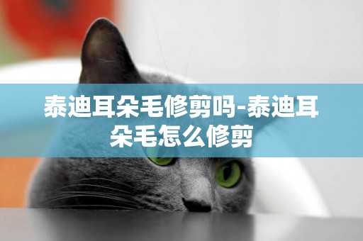 泰迪耳朵毛修剪嗎-泰迪耳朵毛怎么修剪