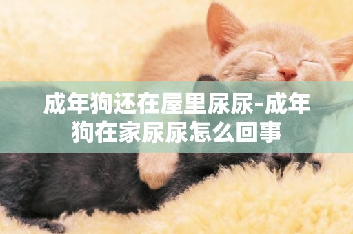 成年狗還在屋里尿尿-成年狗在家尿尿怎么回事