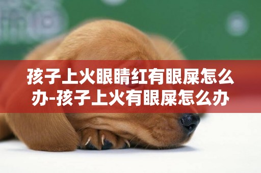 孩子上火眼睛紅有眼屎怎么辦-孩子上火有眼屎怎么辦
