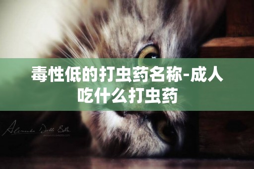 毒性低的打蟲藥名稱-成人吃什么打蟲藥