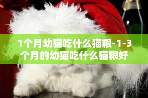 1個月幼貓吃什么貓糧-1-3個月的幼貓吃什么貓糧好