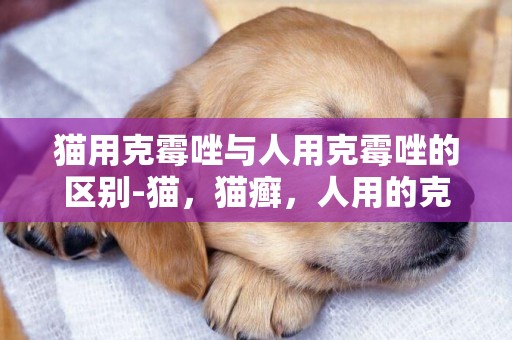 貓用克霉唑與人用克霉唑的區別-貓，貓癬，人用的克霉唑軟膏可以給貓用嗎