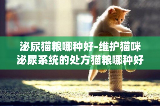 泌尿貓糧哪種好-維護貓咪泌尿系統的處方貓糧哪種好