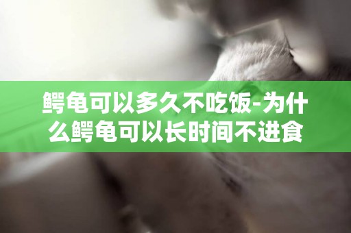 鱷龜可以多久不吃飯-為什么鱷龜可以長時間不進食
