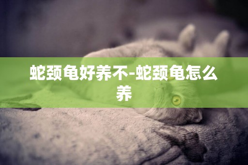 蛇頸龜好養不-蛇頸龜怎么養