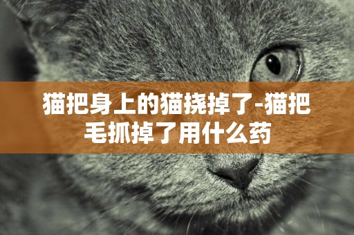 貓把身上的貓撓掉了-貓把毛抓掉了用什么藥