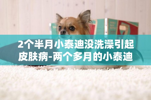 2個半月小泰迪沒洗澡引起皮膚病-兩個多月的小泰迪怎么預防皮膚病