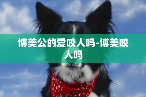 博美公的愛咬人嗎-博美咬人嗎