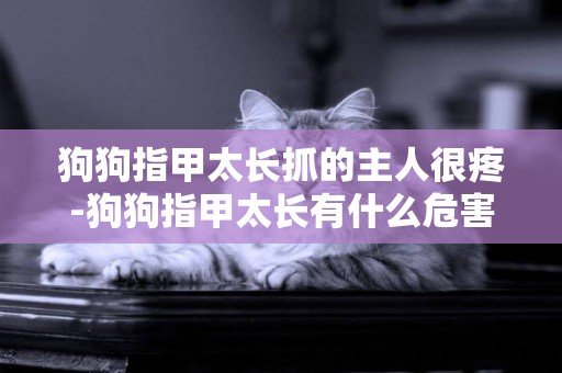狗狗指甲太長抓的主人很疼-狗狗指甲太長有什么危害？