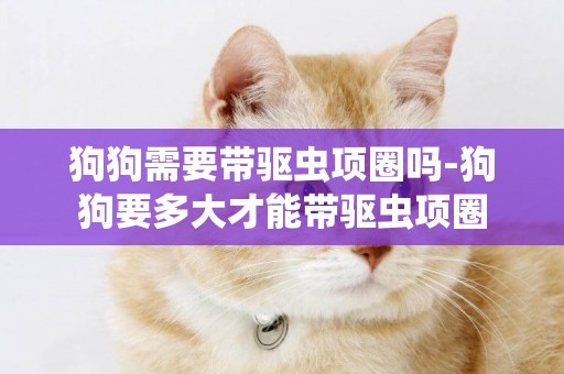 狗狗需要帶驅蟲項圈嗎-狗狗要多大才能帶驅蟲項圈