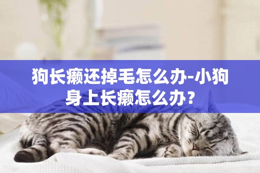 狗長癩還掉毛怎么辦-小狗身上長癩怎么辦？