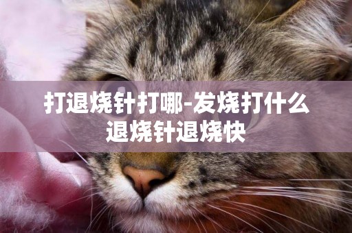 打退燒針打哪-發燒打什么退燒針退燒快