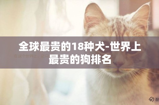 全球最貴的18種犬-世界上最貴的狗排名