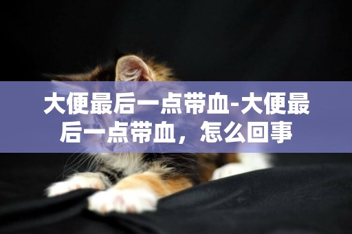 大便最后一點帶血-大便最后一點帶血，怎么回事