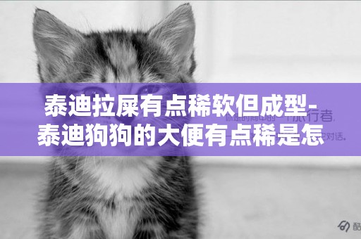 泰迪拉屎有點稀軟但成型-泰迪狗狗的大便有點稀是怎么回事？
