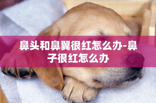 鼻頭和鼻翼很紅怎么辦-鼻子很紅怎么辦
