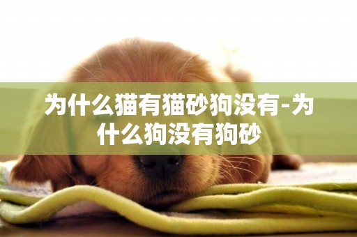 為什么貓有貓砂狗沒有-為什么狗沒有狗砂