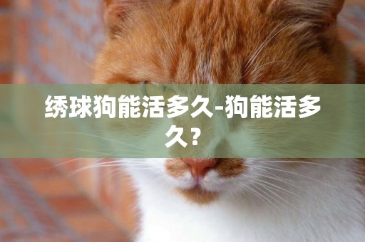 繡球狗能活多久-狗能活多久？