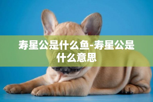 壽星公是什么魚-壽星公是什么意思
