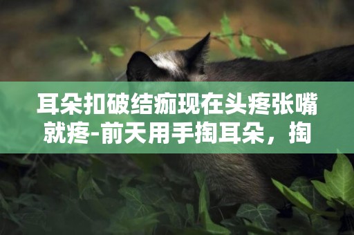 耳朵扣破結痂現在頭疼張嘴就疼-前天用手掏耳朵，掏的耳朵很疼，昨天左耳就結痂了，然后就聽不太見，今天右