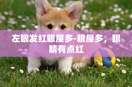 左眼發紅眼屎多-眼屎多，眼睛有點紅