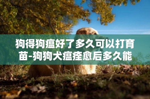 狗得狗瘟好了多久可以打育苗-狗狗犬瘟痊愈后多久能打疫苗