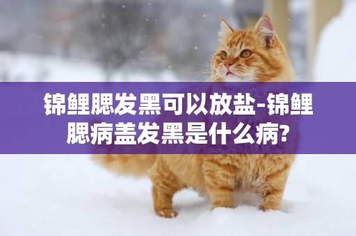 錦鯉腮發黑可以放鹽-錦鯉腮病蓋發黑是什么病?
