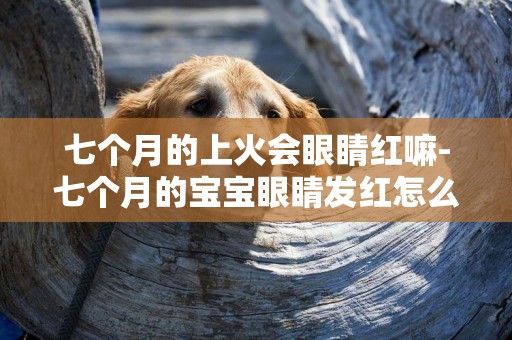 七個月的上火會眼睛紅嘛-七個月的寶寶眼睛發紅怎么回事