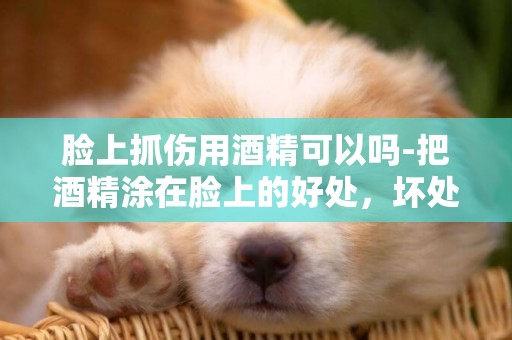 臉上抓傷用酒精可以嗎-把酒精涂在臉上的好處，壞處分別是什么？