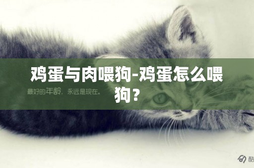 雞蛋與肉喂狗-雞蛋怎么喂狗？