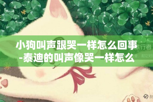 小狗叫聲跟哭一樣怎么回事-泰迪的叫聲像哭一樣怎么回事