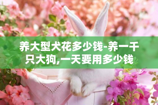 養大型犬花多少錢-養一千只大狗,一天要用多少錢