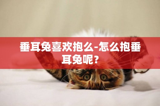 垂耳兔喜歡抱么-怎么抱垂耳兔呢？