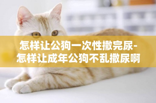 怎樣讓公狗一次性撒完尿-怎樣讓成年公狗不亂撒尿啊？謝謝各位！