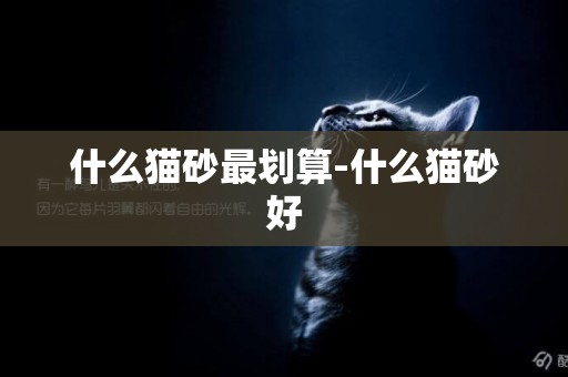 什么貓砂最劃算-什么貓砂好