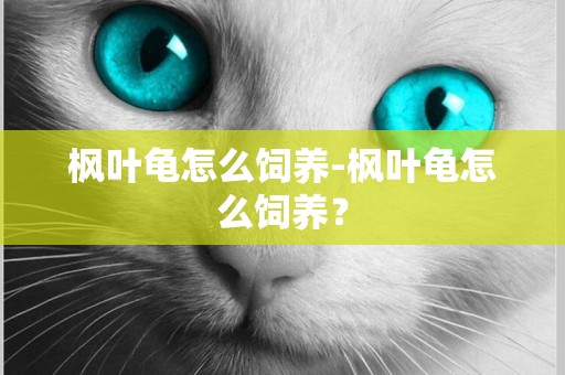 楓葉龜怎么飼養-楓葉龜怎么飼養？
