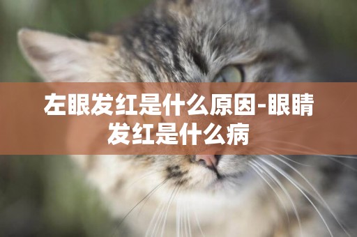 左眼發紅是什么原因-眼睛發紅是什么病