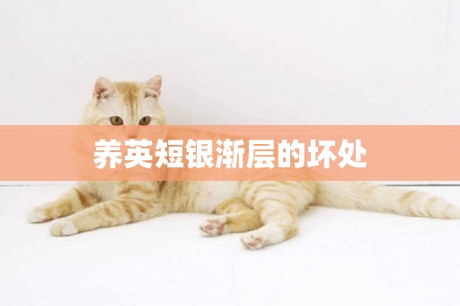 養英短銀漸層的壞處