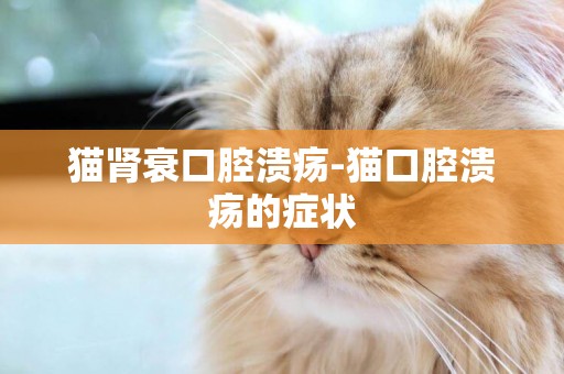 貓腎衰口腔潰瘍-貓口腔潰瘍的癥狀