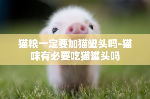 貓糧一定要加貓罐頭嗎-貓咪有必要吃貓罐頭嗎
