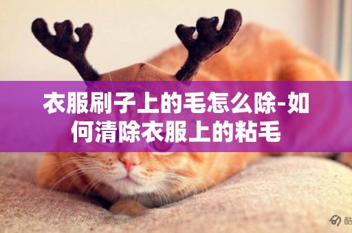 衣服刷子上的毛怎么除-如何清除衣服上的粘毛