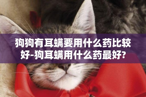 狗狗有耳螨要用什么藥比較好-狗耳螨用什么藥最好?