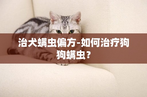 治犬螨蟲偏方-如何治療狗狗螨蟲？