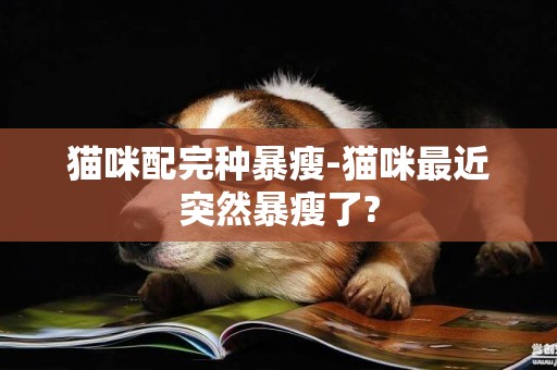 貓咪配完種暴瘦-貓咪最近突然暴瘦了?